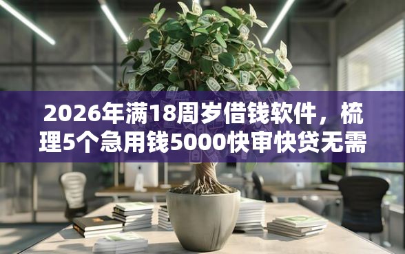 2026年满18周岁借钱软件，梳理5个急用钱5000快审快贷无需征信口子