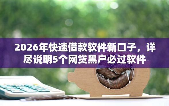 2026年快速借款软件新口子，详尽说明5个网贷黑户必过软件