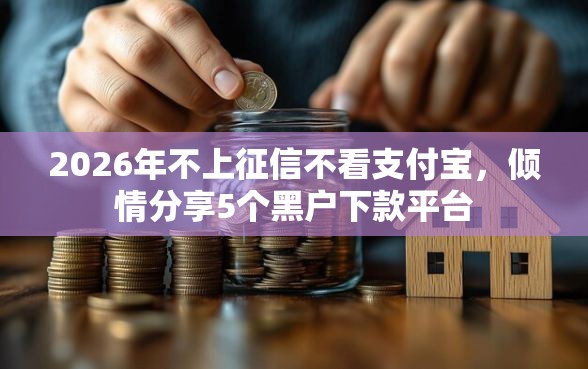 2026年不上征信不看支付宝，倾情分享5个黑户下款平台