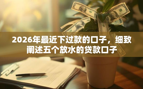 2026年最近下过款的口子，细致阐述五个放水的贷款口子