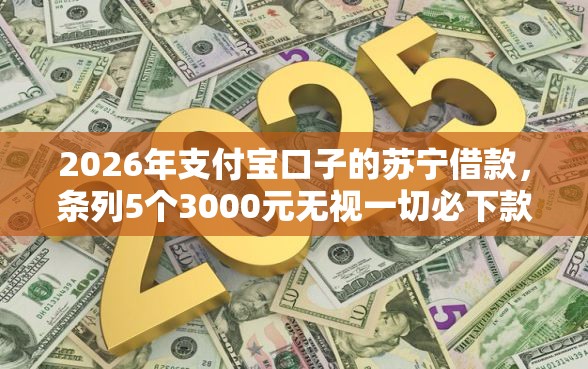 2026年支付宝口子的苏宁借款，条列5个3000元无视一切必下款的口子