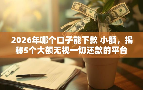 2026年哪个口子能下款 小额，揭秘5个大额无视一切还款的平台
