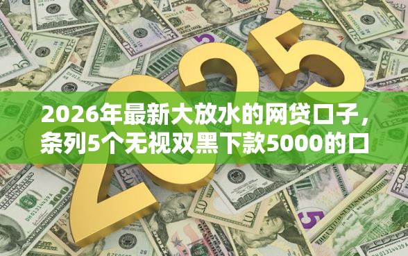 2026年最新大放水的网贷口子，条列5个无视双黑下款5000的口子