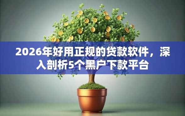 2026年好用正规的贷款软件，深入剖析5个黑户下款平台