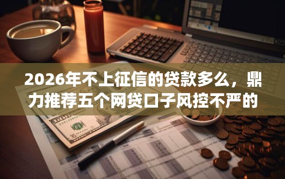 2026年不上征信的贷款多么，鼎力推荐五个网贷口子风控不严的app