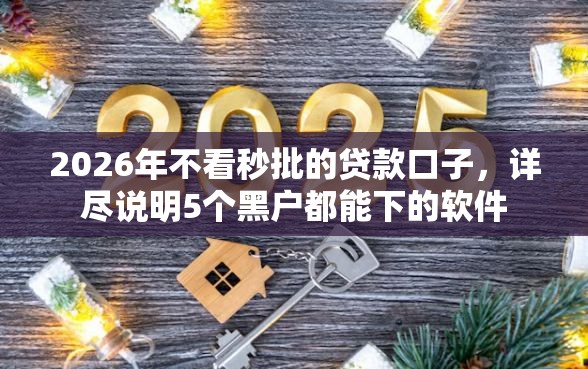 2026年不看秒批的贷款口子，详尽说明5个黑户都能下的软件