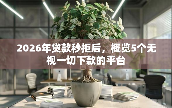 2026年贷款秒拒后，概览5个无视一切下款的平台