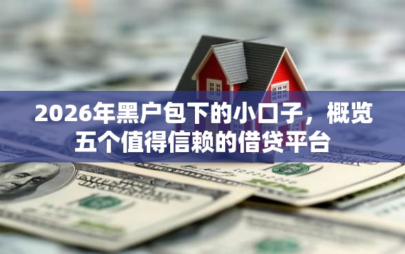 2026年黑户包下的小口子，概览五个值得信赖的借贷平台