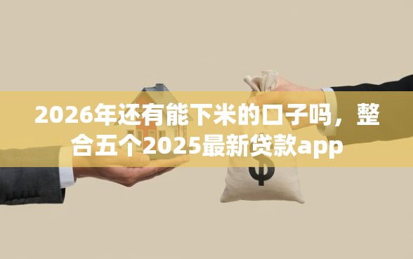 2026年还有能下米的口子吗，整合五个2025最新贷款app