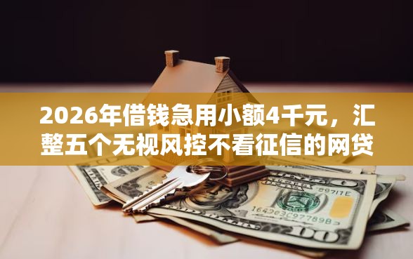 2026年借钱急用小额4千元，汇整五个无视风控不看征信的网贷