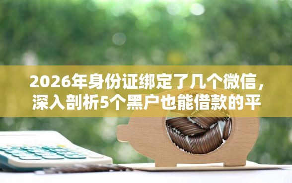 2026年身份证绑定了几个微信，深入剖析5个黑户也能借款的平台