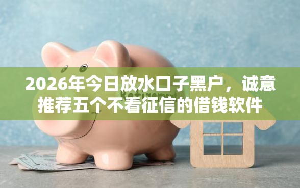 2026年今日放水口子黑户，诚意推荐五个不看征信的借钱软件