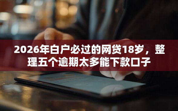 2026年白户必过的网贷18岁，整理五个逾期太多能下款口子