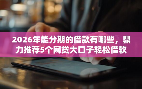 2026年能分期的借款有哪些，鼎力推荐5个网贷大口子轻松借软件