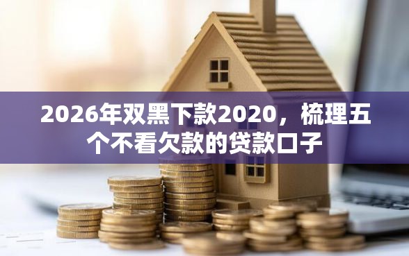 2026年双黑下款2020，梳理五个不看欠款的贷款口子