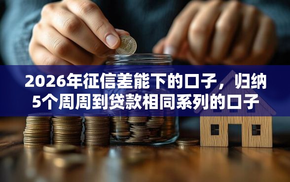 2026年征信差能下的口子，归纳5个周周到贷款相同系列的口子