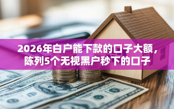 2026年白户能下款的口子大额，陈列5个无视黑户秒下的口子