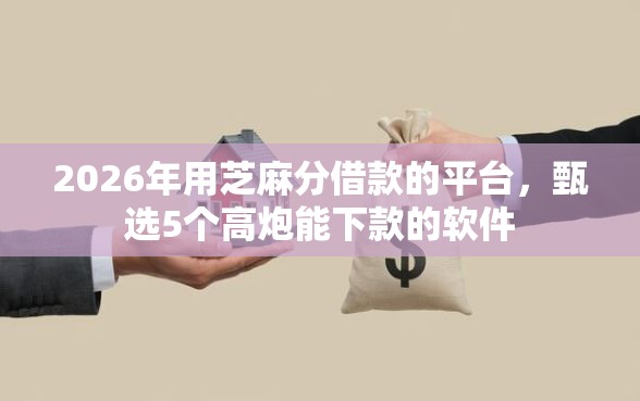 2026年用芝麻分借款的平台，甄选5个高炮能下款的软件