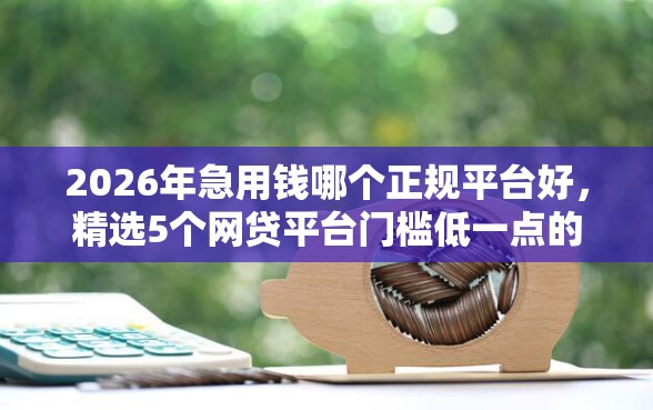 2026年急用钱哪个正规平台好，精选5个网贷平台门槛低一点的口子