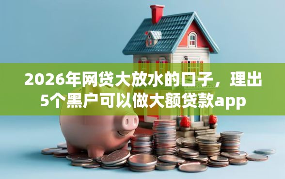 2026年网贷大放水的口子，理出5个黑户可以做大额贷款app
