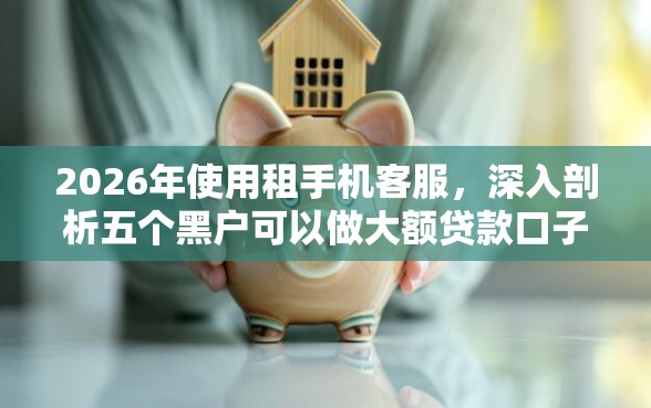 2026年使用租手机客服，深入剖析五个黑户可以做大额贷款口子
