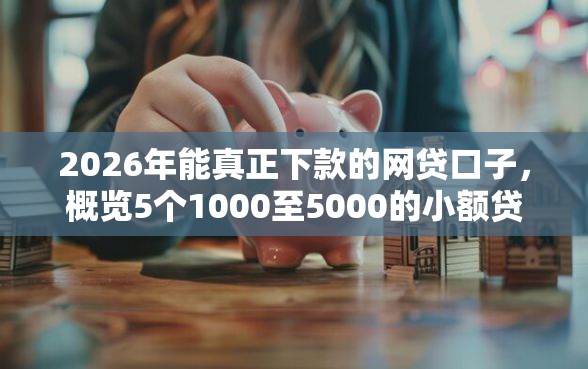 2026年能真正下款的网贷口子，概览5个1000至5000的小额贷款口子