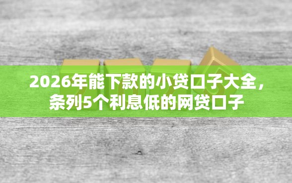 2026年能下款的小贷口子大全，条列5个利息低的网贷口子