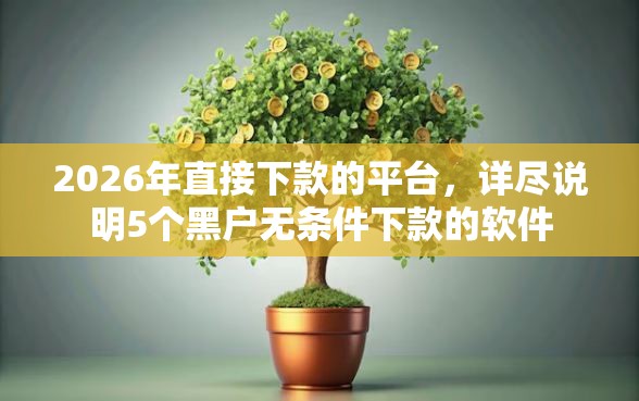 2026年直接下款的平台，详尽说明5个黑户无条件下款的软件