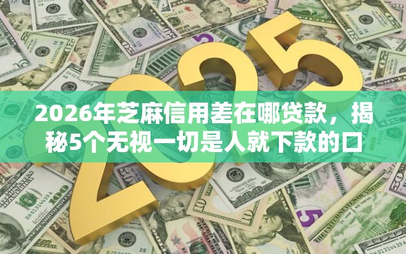2026年芝麻信用差在哪贷款，揭秘5个无视一切是人就下款的口子