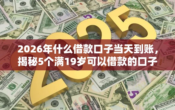 2026年什么借款口子当天到账，揭秘5个满19岁可以借款的口子
