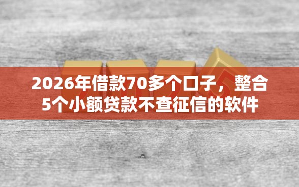 2026年借款70多个口子，整合5个小额贷款不查征信的软件