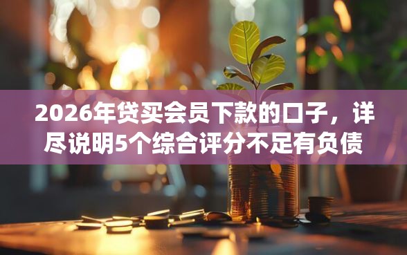 2026年贷买会员下款的口子，详尽说明5个综合评分不足有负债都能下款app