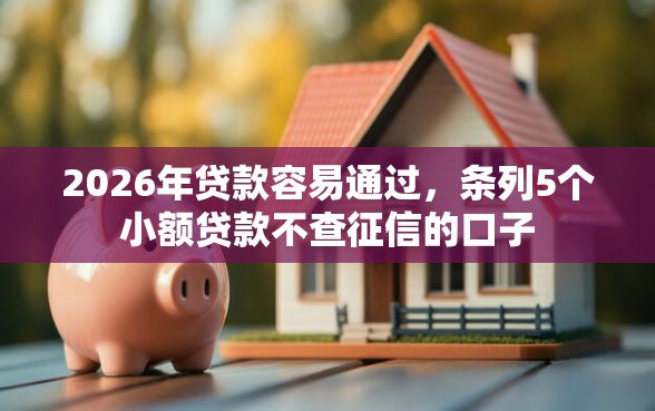 2026年贷款容易通过，条列5个小额贷款不查征信的口子