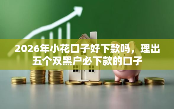 2026年小花口子好下款吗，理出五个双黑户必下款的口子