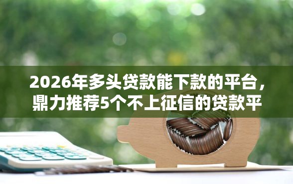2026年多头贷款能下款的平台，鼎力推荐5个不上征信的贷款平台