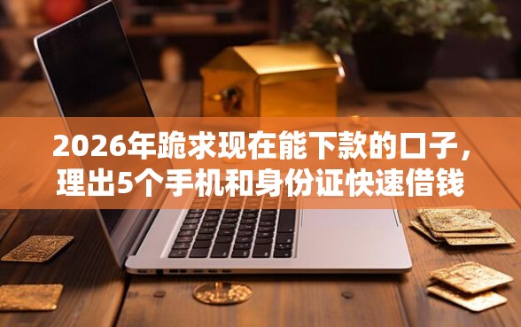 2026年跪求现在能下款的口子，理出5个手机和身份证快速借钱软件