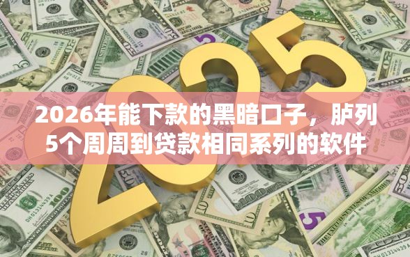 2026年能下款的黑暗口子，胪列5个周周到贷款相同系列的软件