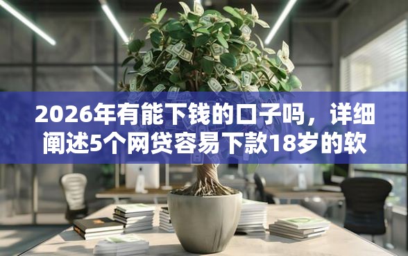 2026年有能下钱的口子吗，详细阐述5个网贷容易下款18岁的软件