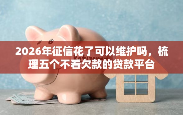 2026年征信花了可以维护吗，梳理五个不看欠款的贷款平台