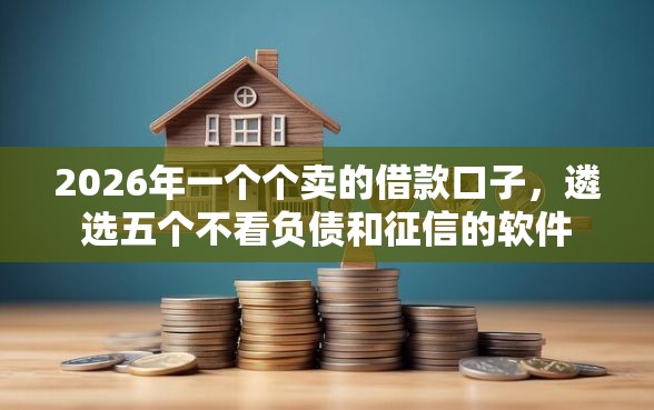 2026年一个个卖的借款口子，遴选五个不看负债和征信的软件