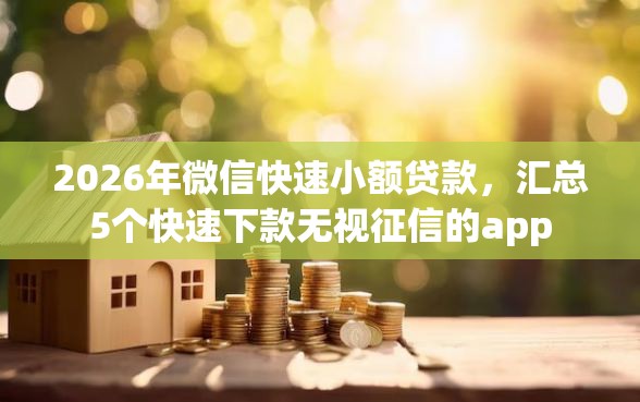 2026年微信快速小额贷款，汇总5个快速下款无视征信的app