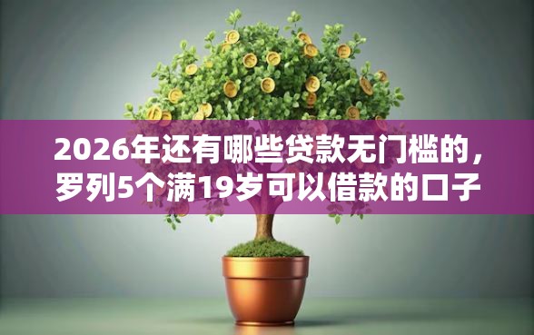 2026年还有哪些贷款无门槛的，罗列5个满19岁可以借款的口子