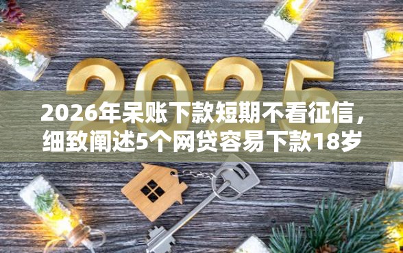 2026年呆账下款短期不看征信，细致阐述5个网贷容易下款18岁的口子