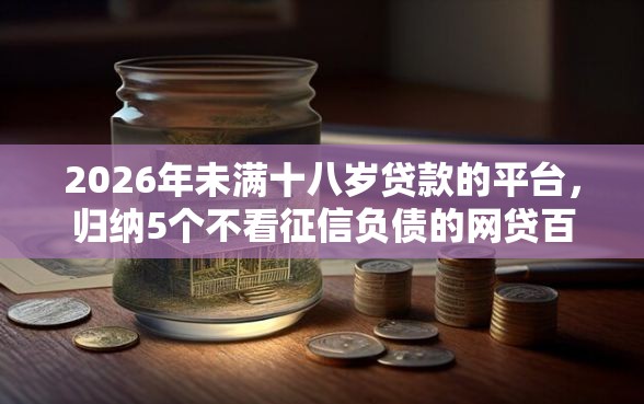 2026年未满十八岁贷款的平台，归纳5个不看征信负债的网贷百分百下款软件