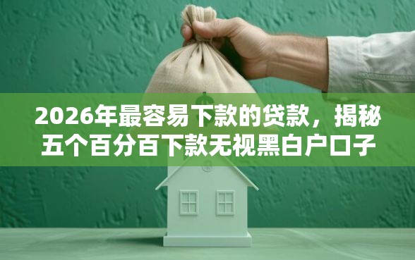 2026年最容易下款的贷款，揭秘五个百分百下款无视黑白户口子