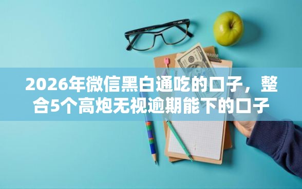 2026年微信黑白通吃的口子，整合5个高炮无视逾期能下的口子