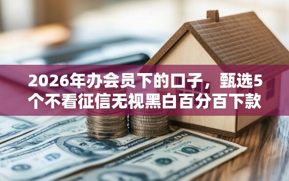 2026年办会员下的口子，甄选5个不看征信无视黑白百分百下款软件