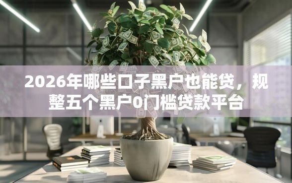 2026年哪些口子黑户也能贷，规整五个黑户0门槛贷款平台