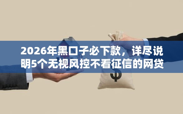 2026年黑口子必下款，详尽说明5个无视风控不看征信的网贷