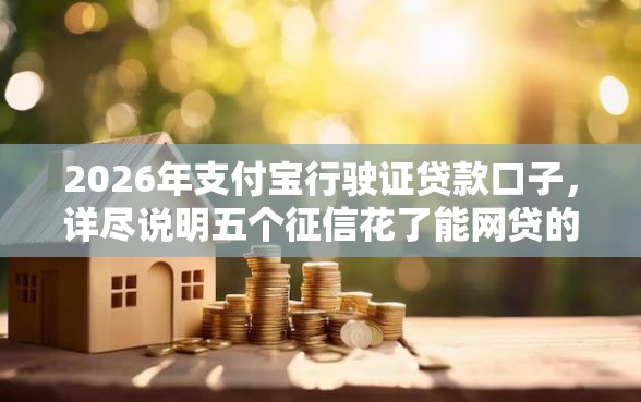 2026年支付宝行驶证贷款口子，详尽说明五个征信花了能网贷的口子